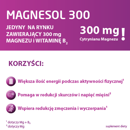 Magnesol 300 20 saszetek