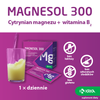 Magnesol 300 20 saszetek