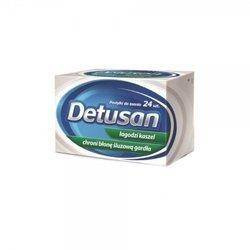 Detusan x 24 pastyl.
