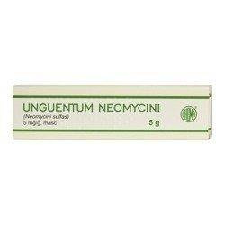 Neomycinum maść x 5 g