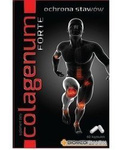 Colagenum Forte x 60 kaps.