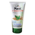 Maść z żyworódki 130 ml